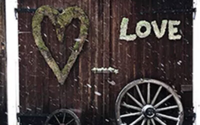 Day-by-day account of Basic Dearmouring Training Day 3