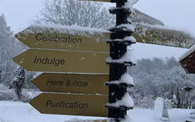 Day-by-day account of Basic Dearmouring Training Day 4